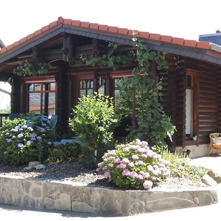 Ferienwohnung Blockhaus Juka Vinningen ภายนอก รูปภาพ