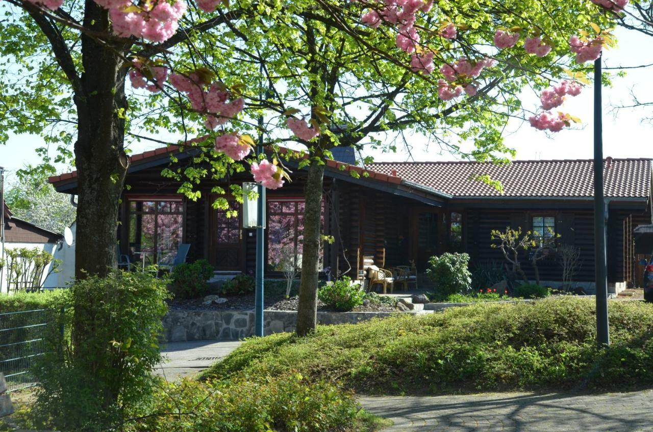 Ferienwohnung Blockhaus Juka Vinningen ภายนอก รูปภาพ